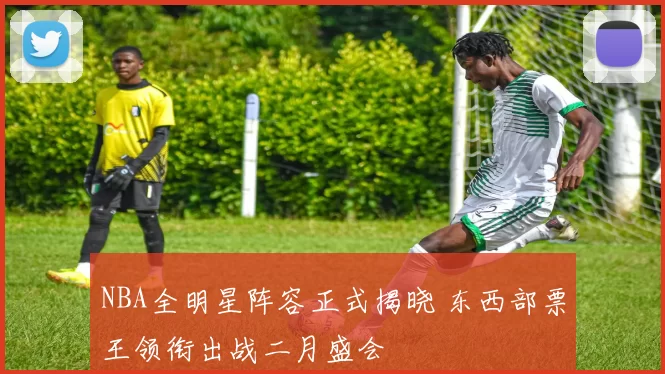 NBA全明星阵容正式揭晓 东西部票王领衔出战二月盛会